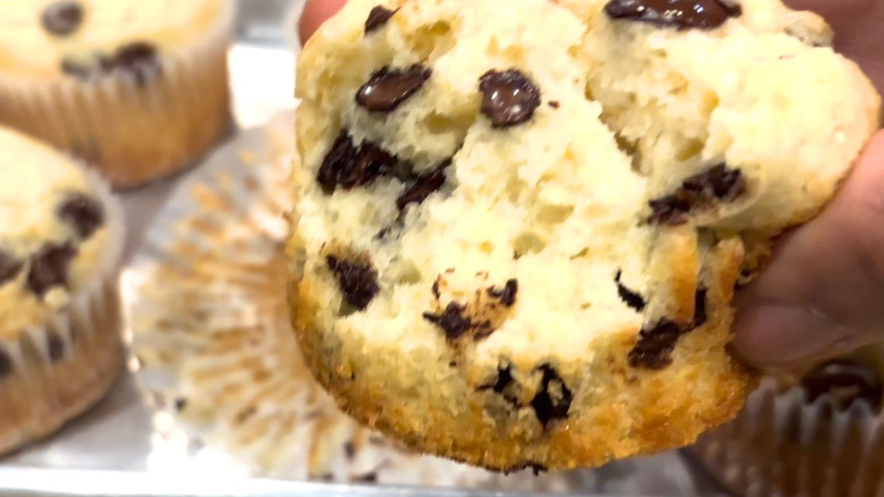 large chocolate chip muffin